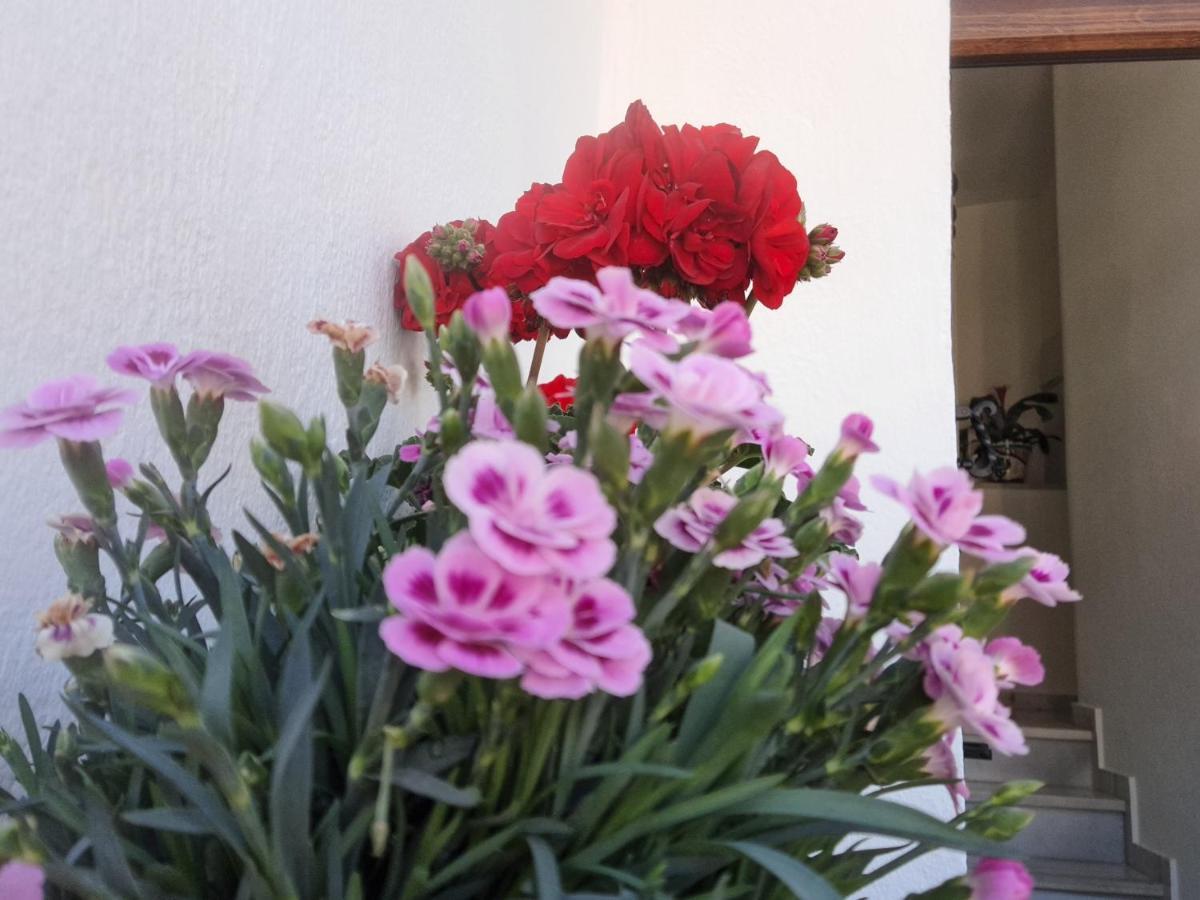 Apartamento "La Vina" Málaga Extérieur photo